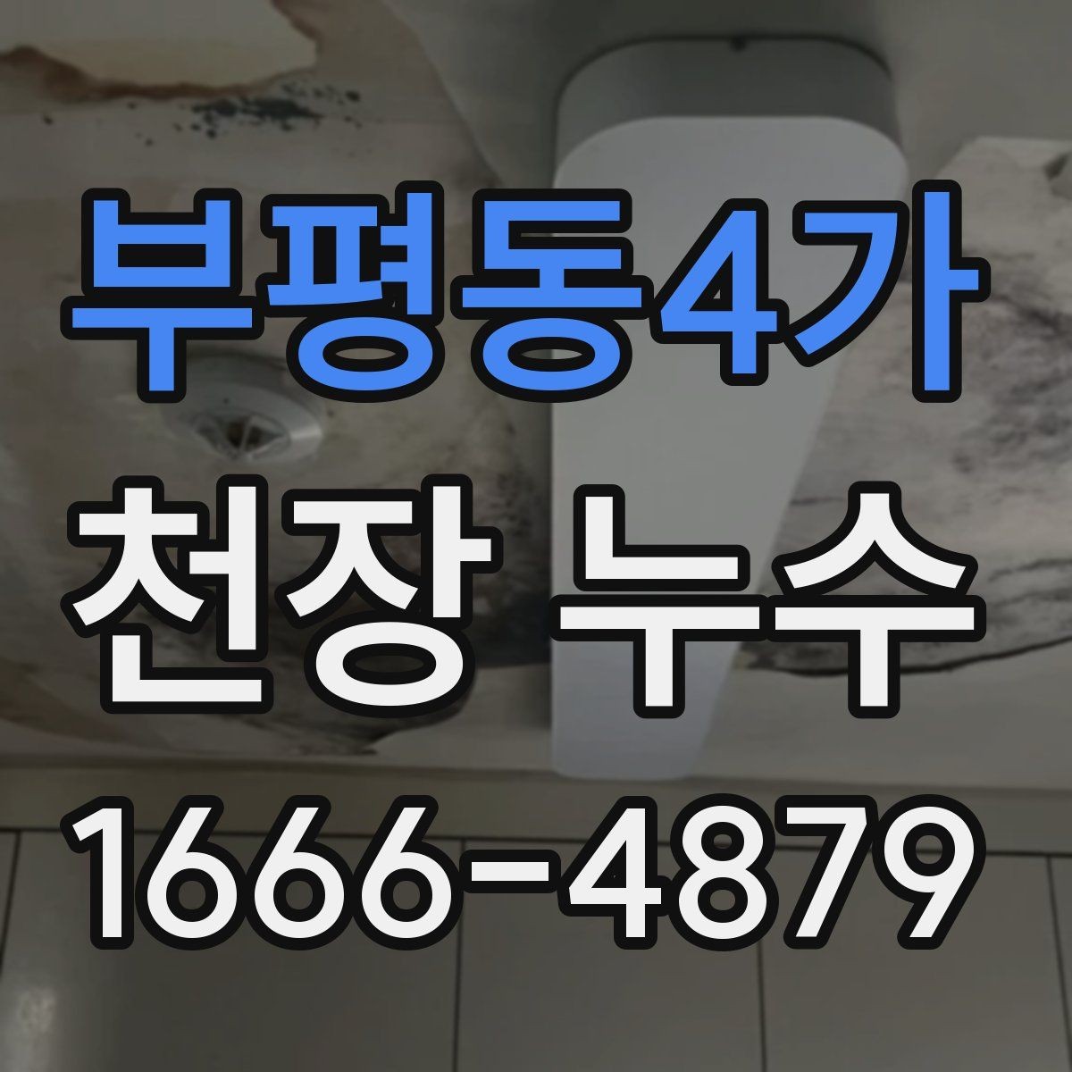 부평동4가 천장 누수 불안할 때 바로 확인할 포인트