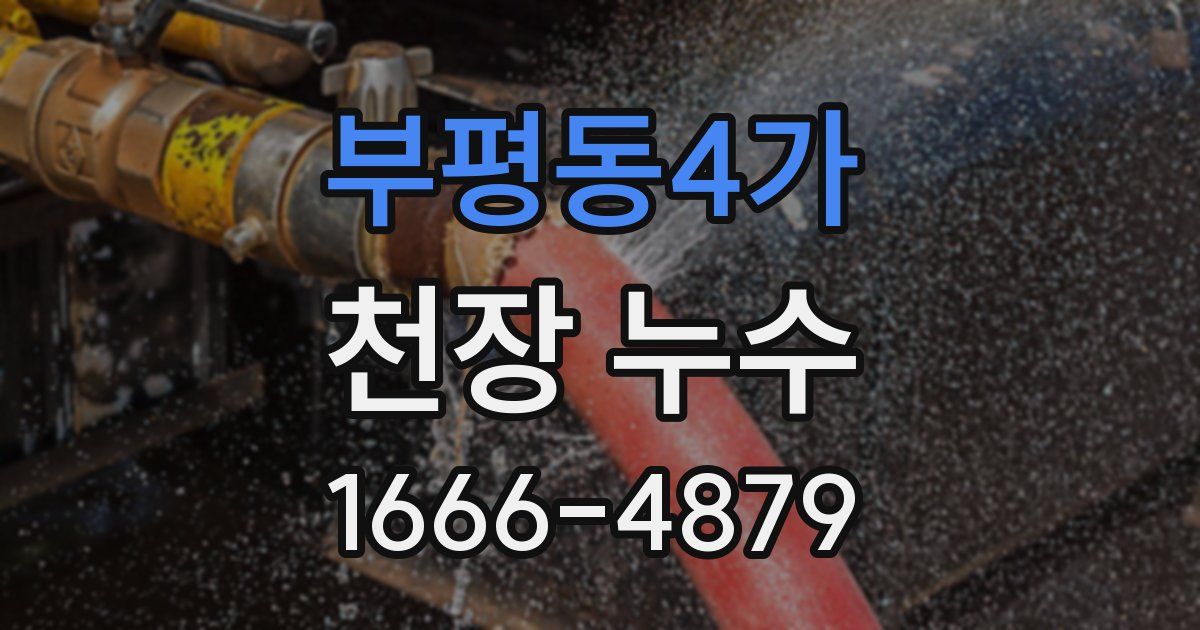 부평동4가 천장 누수