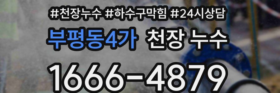 부평동4가 천장 누수