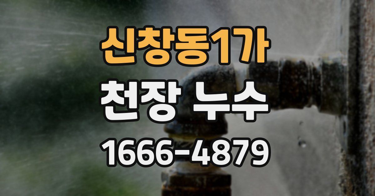 신창동1가 천장 누수