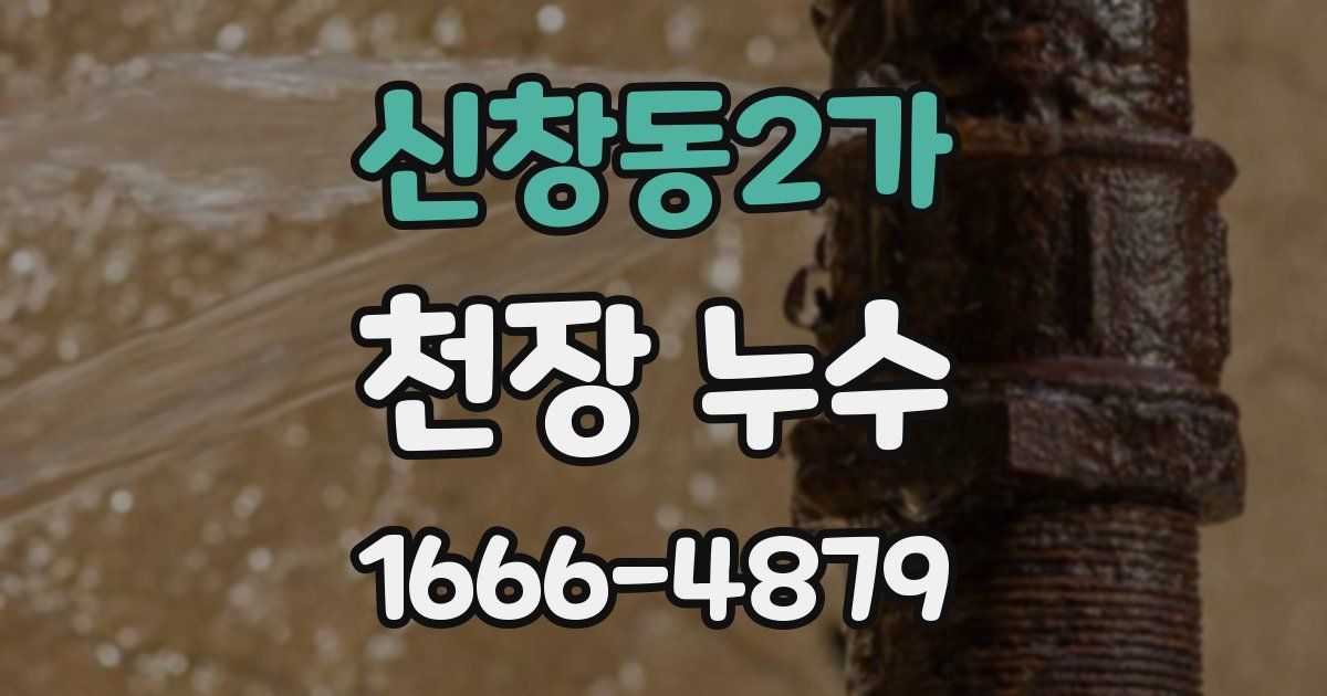 신창동2가 천장 누수