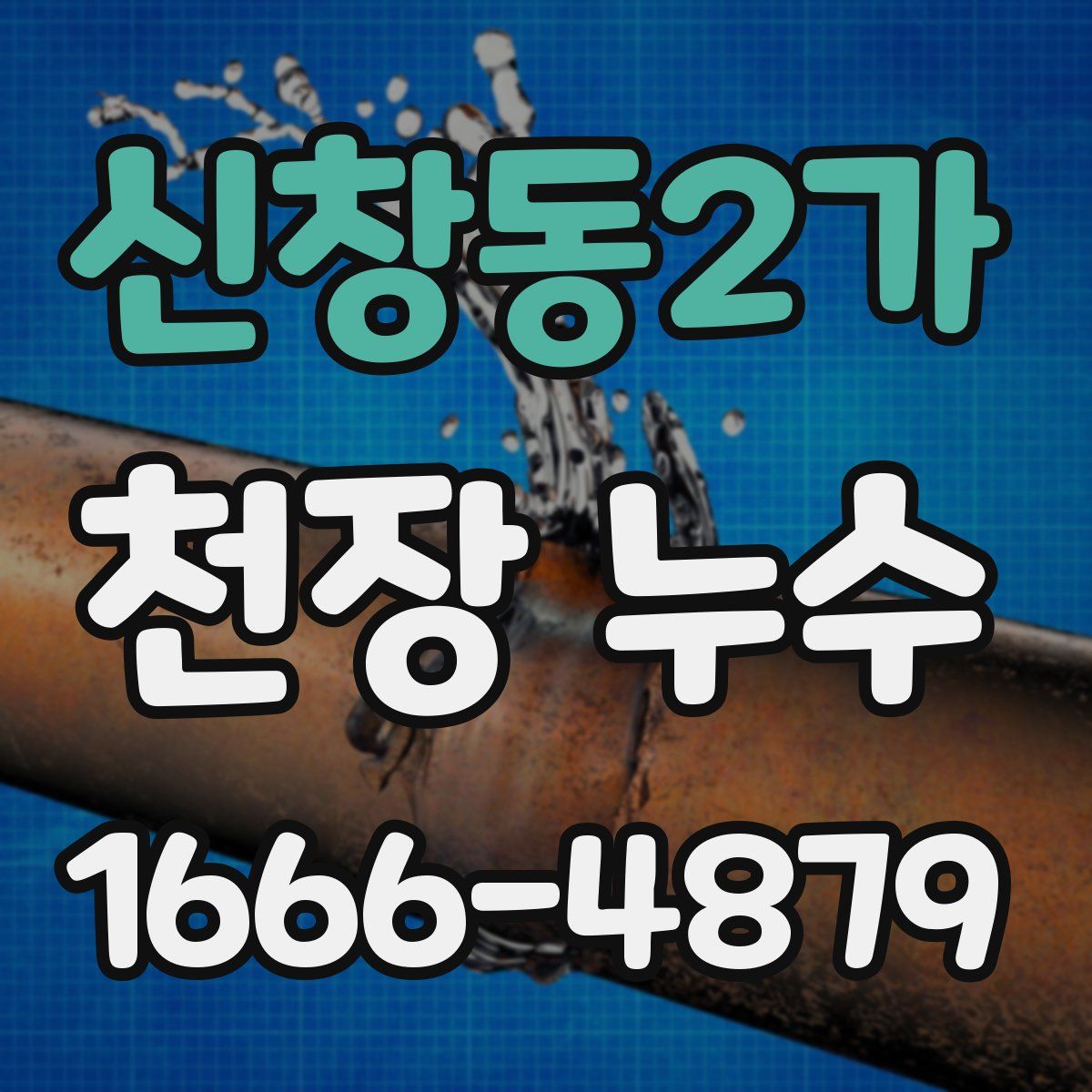 신창동2가 천장 누수