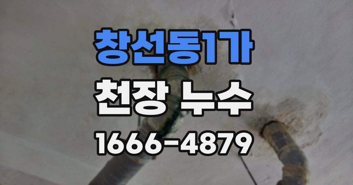 창선동1가 천장 누수
