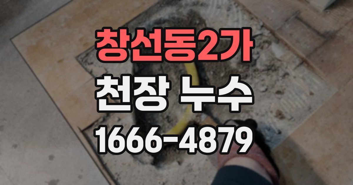 창선동2가 천장 누수