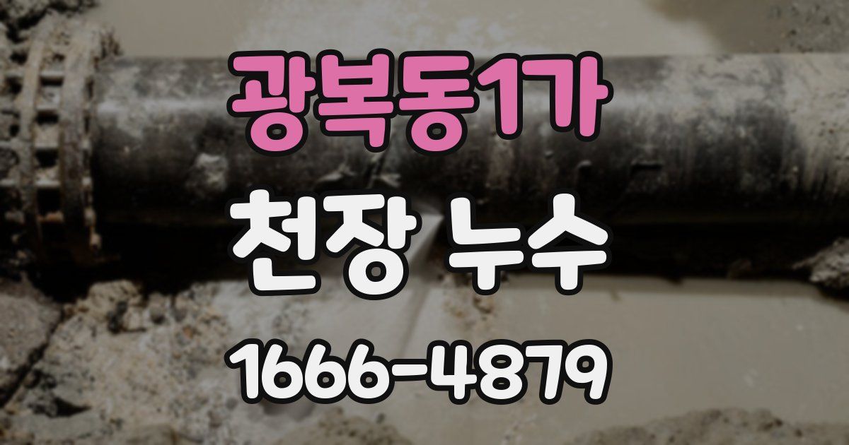 광복동1가 천장 누수