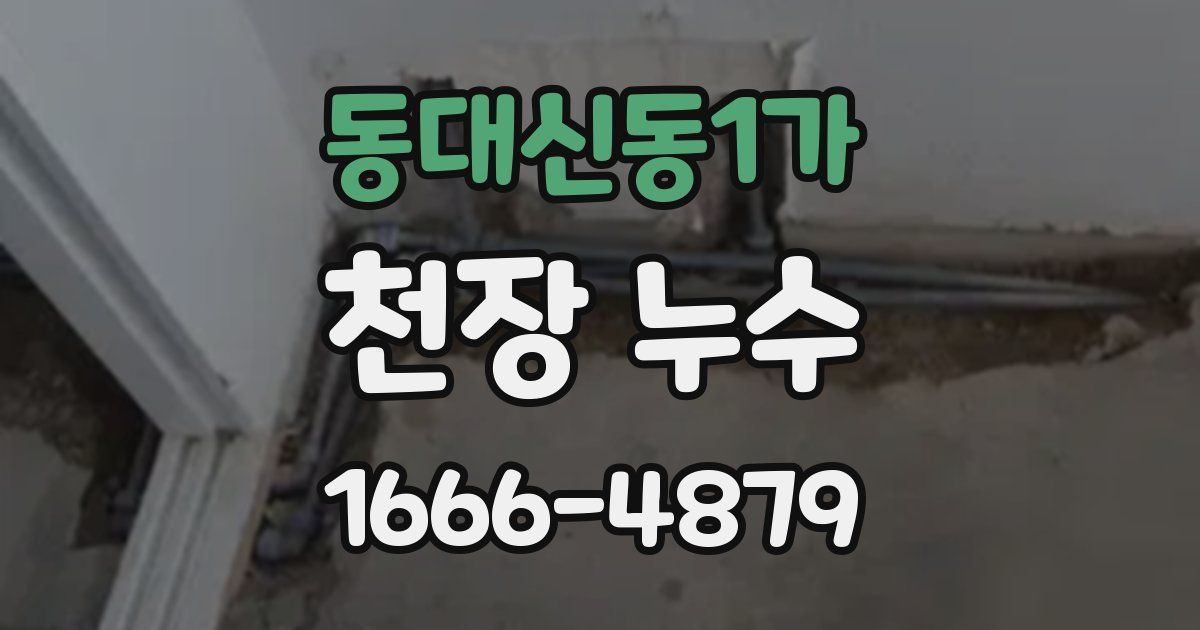 동대신동1가 천장 누수
