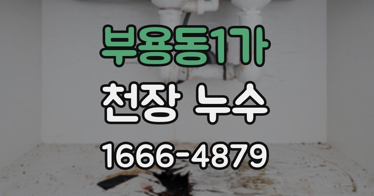 부용동1가 천장 누수