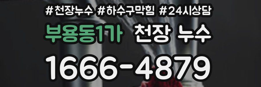 부용동1가 천장 누수