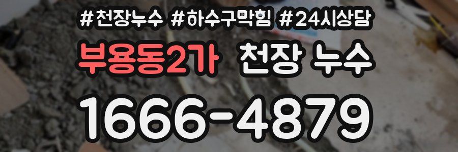 부용동2가 천장 누수