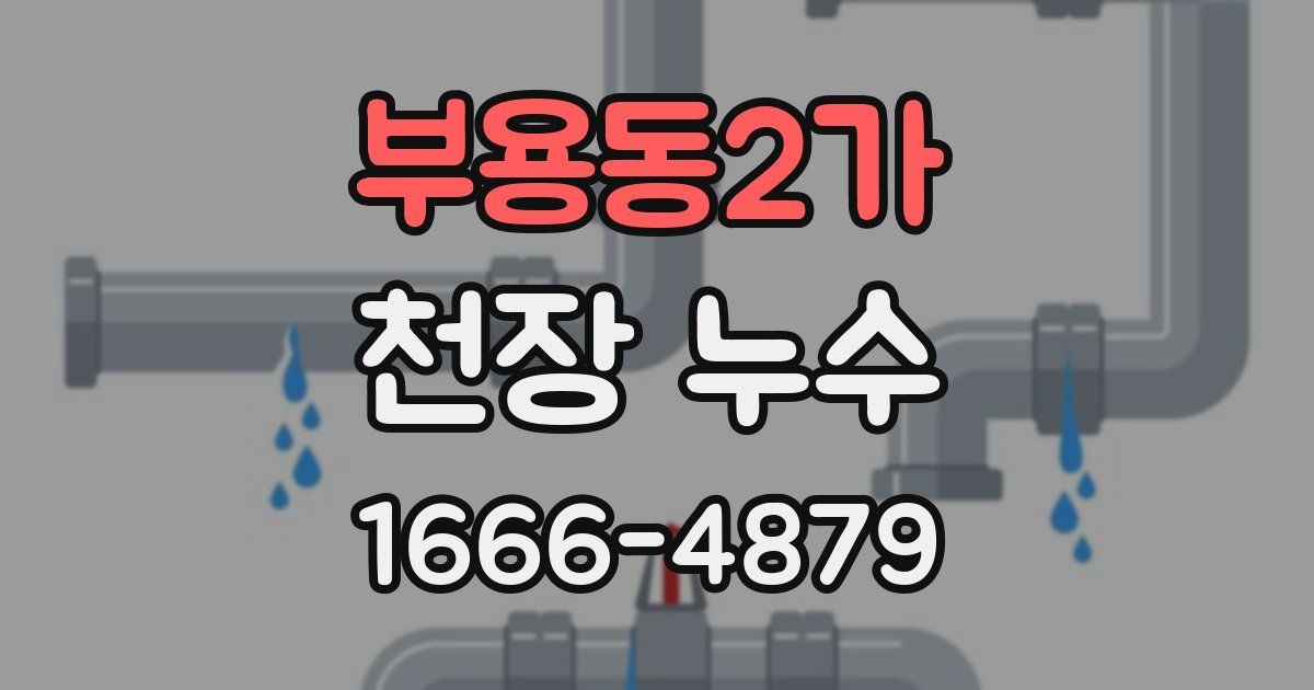 부용동2가 천장 누수