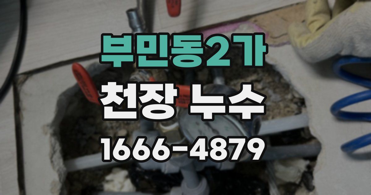 부민동2가 천장 누수