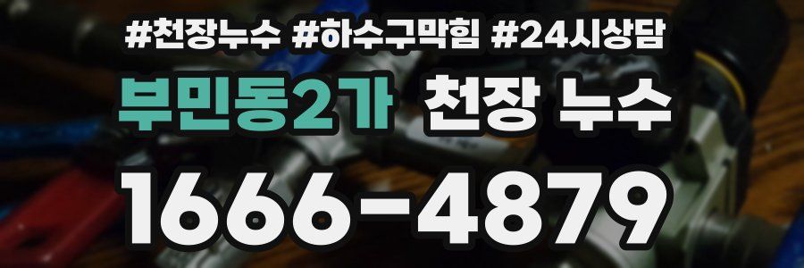 부민동2가 천장 누수