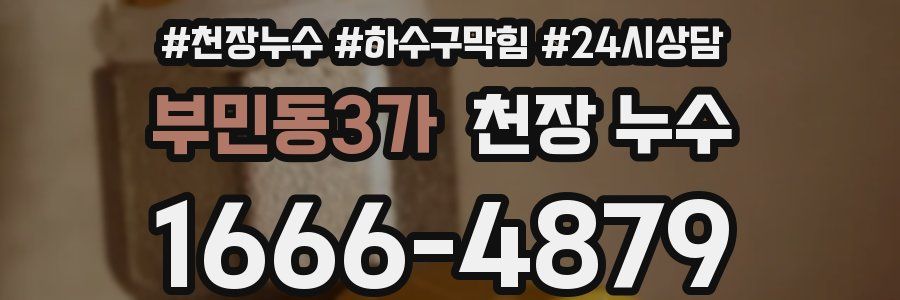 부민동3가 천장 누수