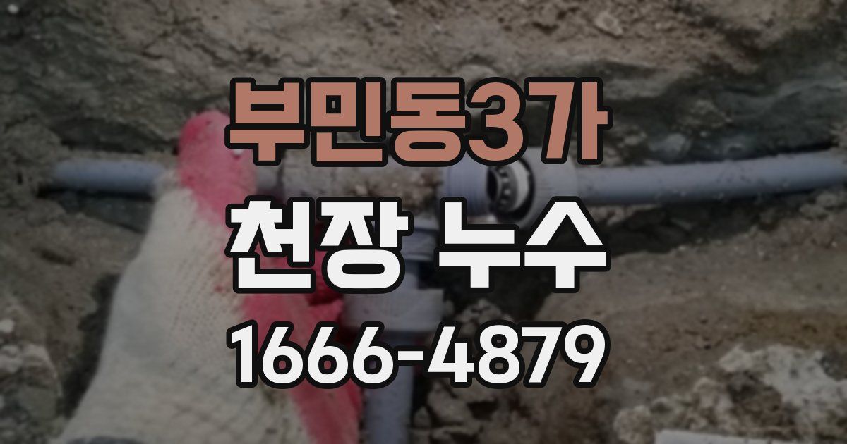 부민동3가 천장 누수