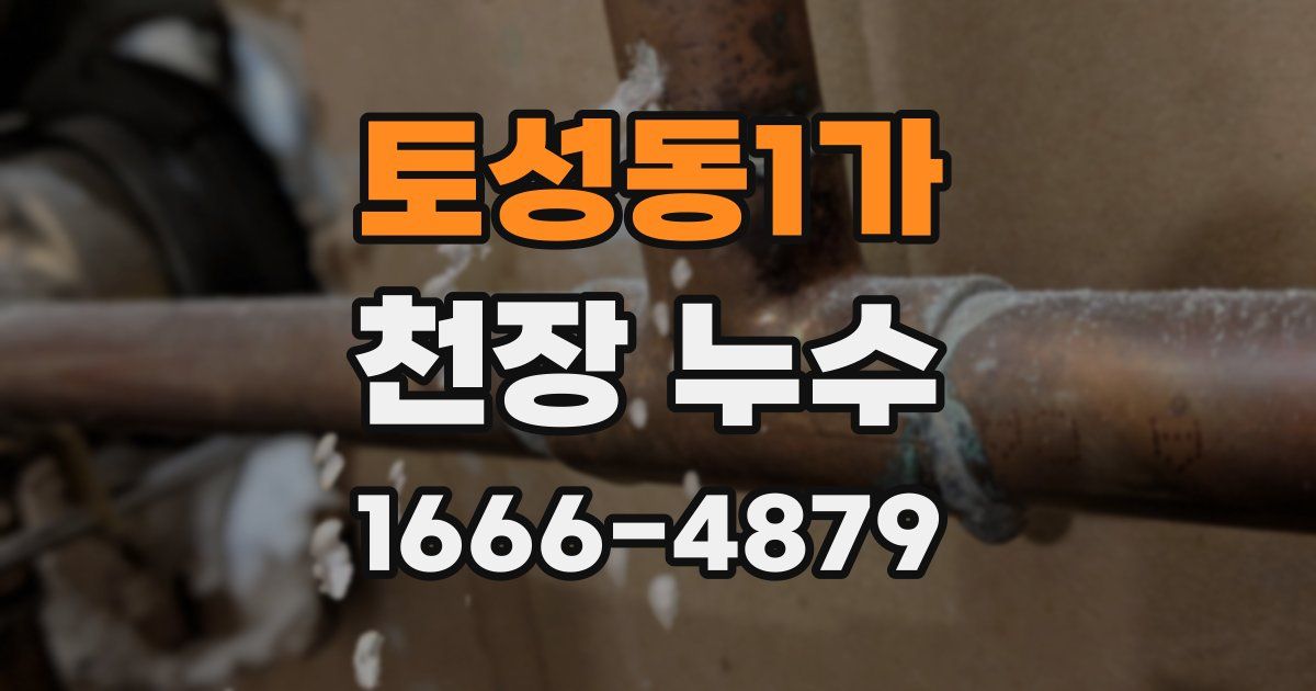 토성동1가 천장 누수