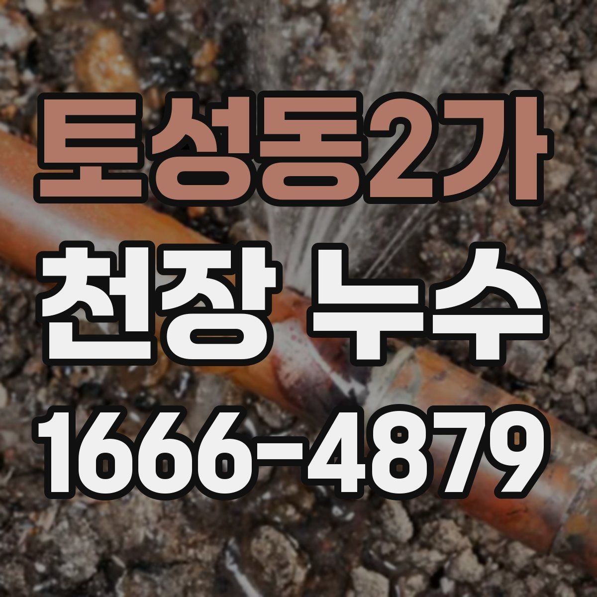 토성동2가 천장 누수 도배 덧대면 더 늦어질 수 있는 이유