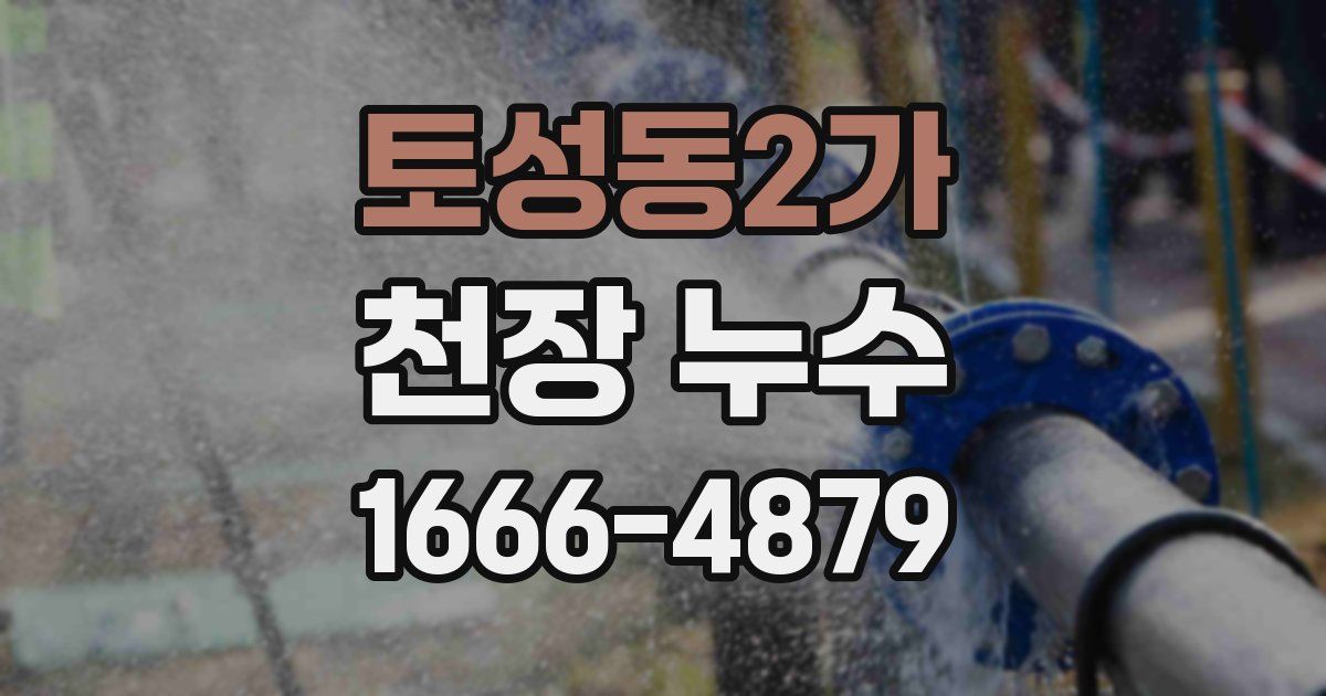 토성동2가 천장 누수