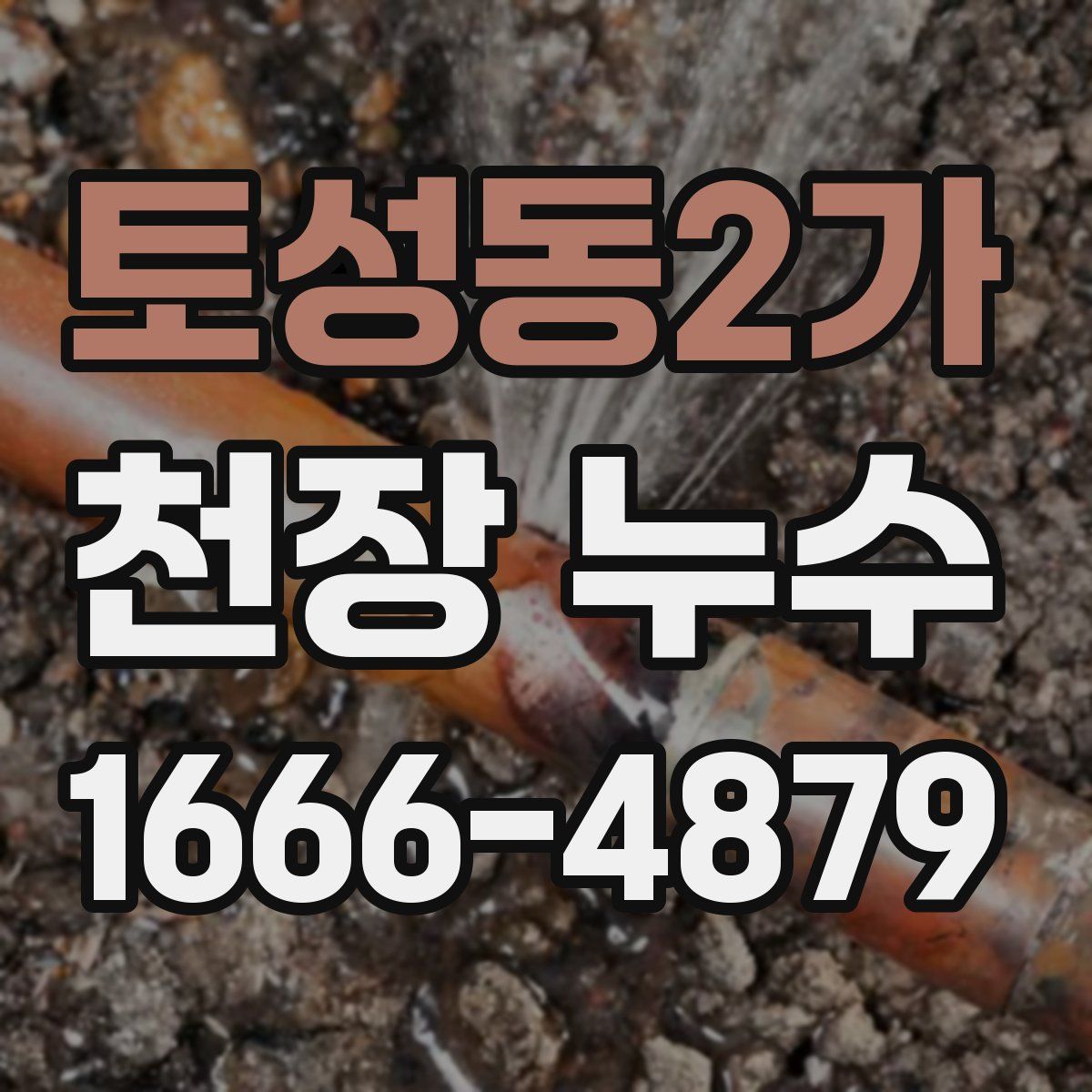 토성동2가 천장 누수