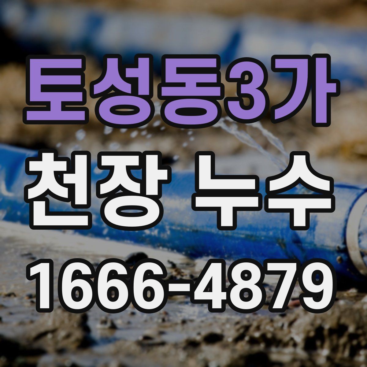 토성동3가 천장 누수 한 번 젖었다 마르면 더 헷갈리는 이유