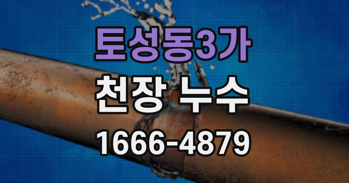 토성동3가 천장 누수