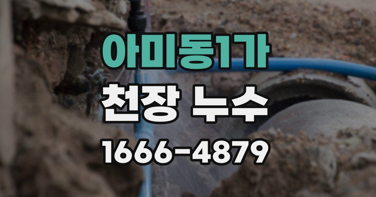 아미동1가 천장 누수