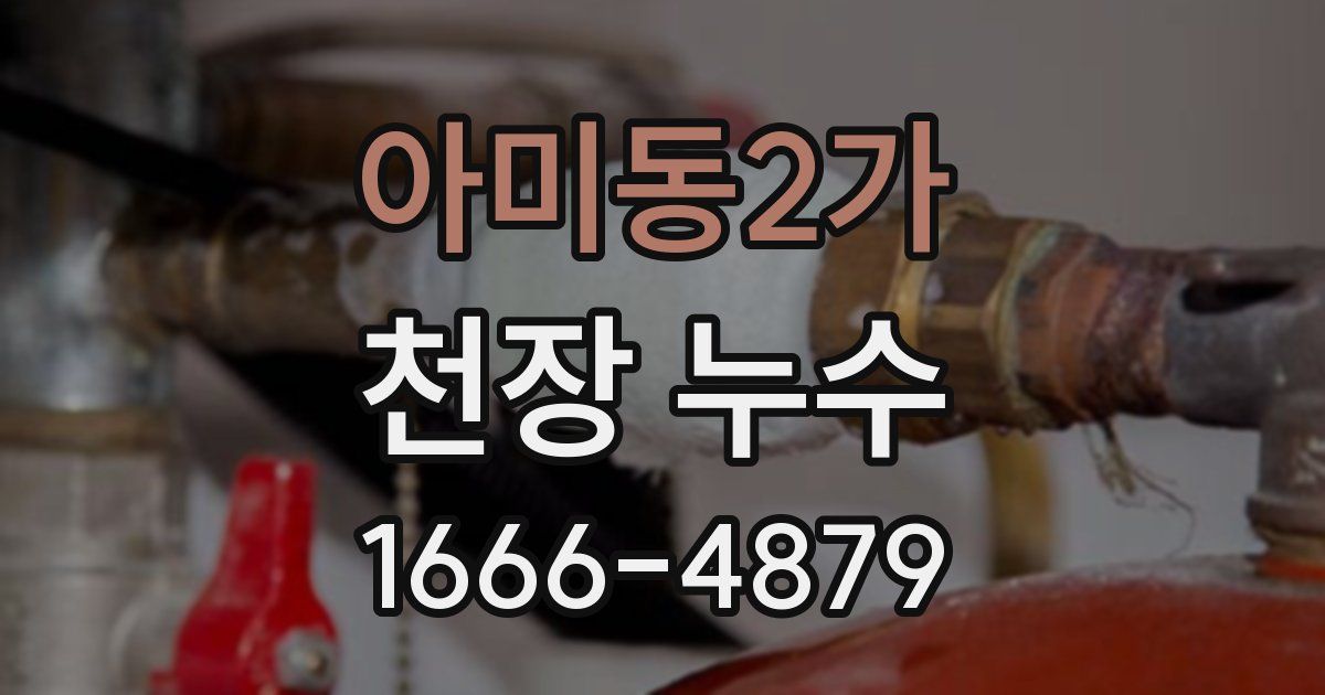 아미동2가 천장 누수