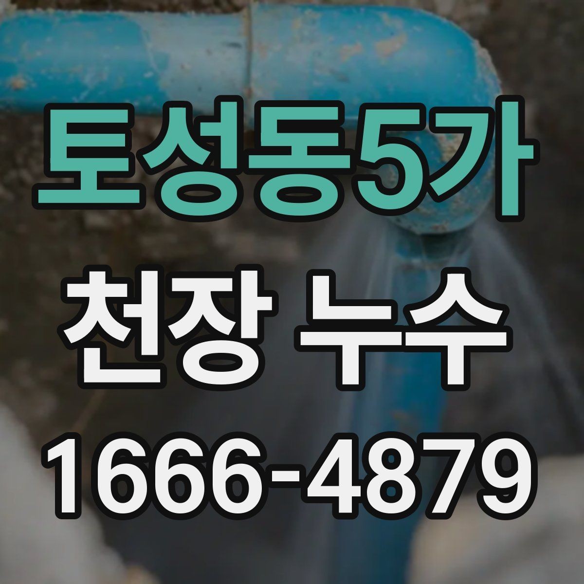 토성동5가 천장 누수 보이지만 사실은 환기 문제일 수도