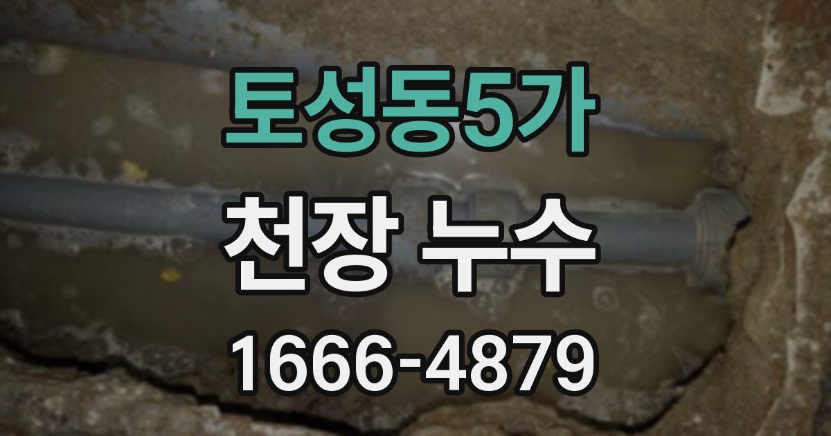 토성동5가 천장 누수