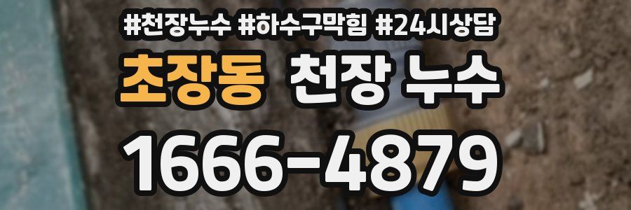 초장동 천장 누수