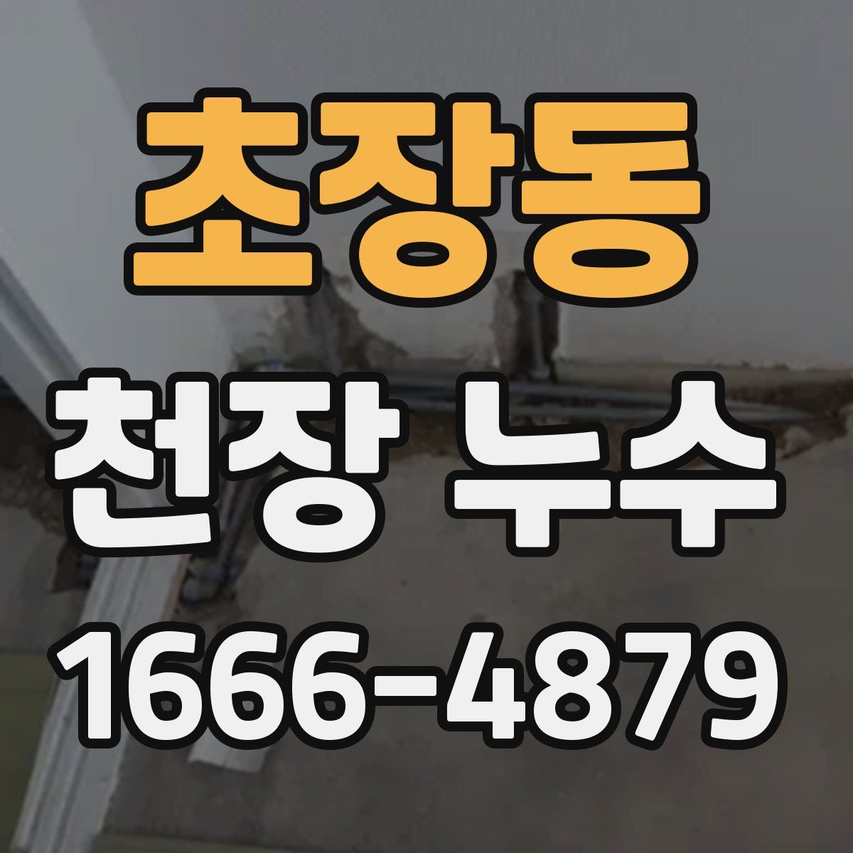 초장동 천장 누수