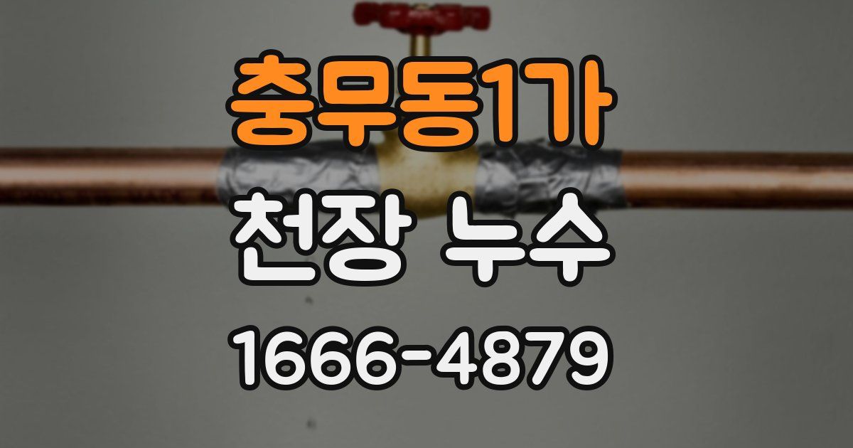 충무동1가 천장 누수