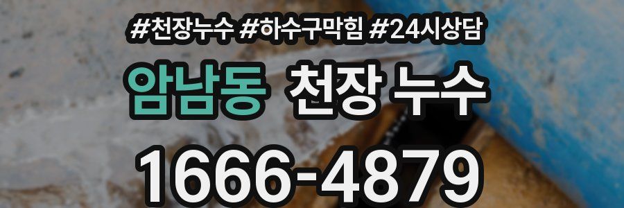 암남동 천장 누수