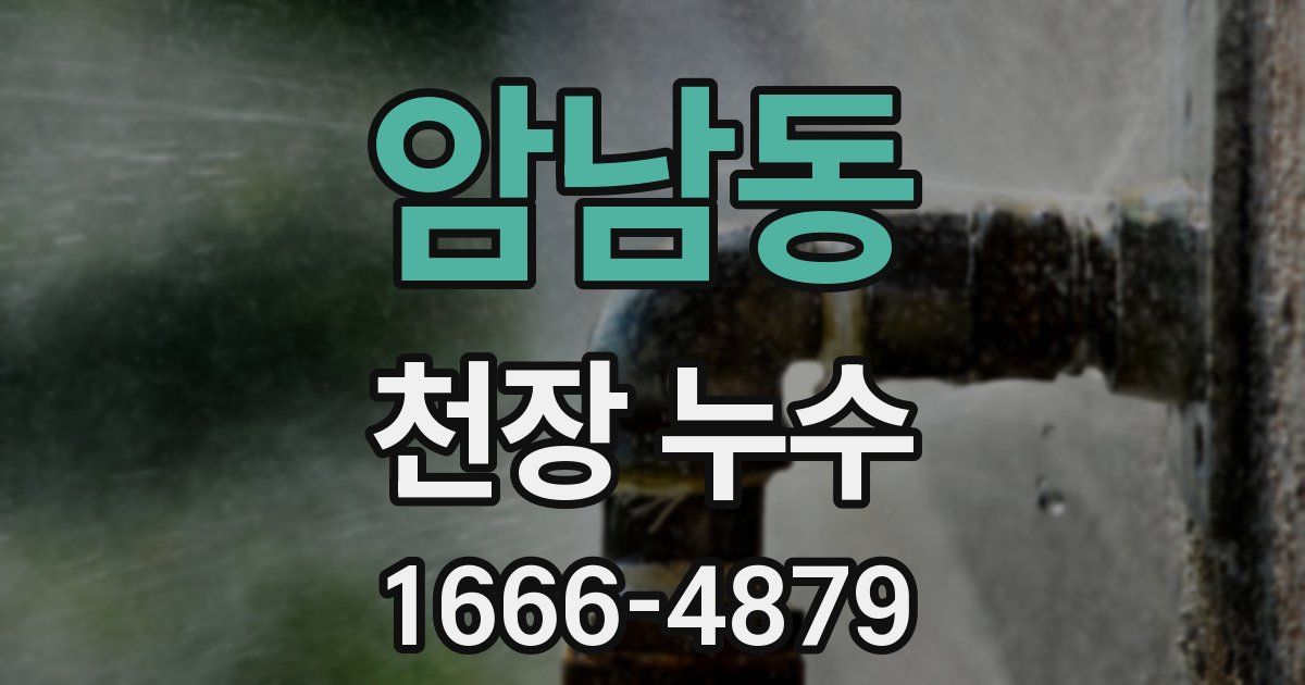 암남동 천장 누수