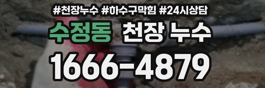 수정동 천장 누수