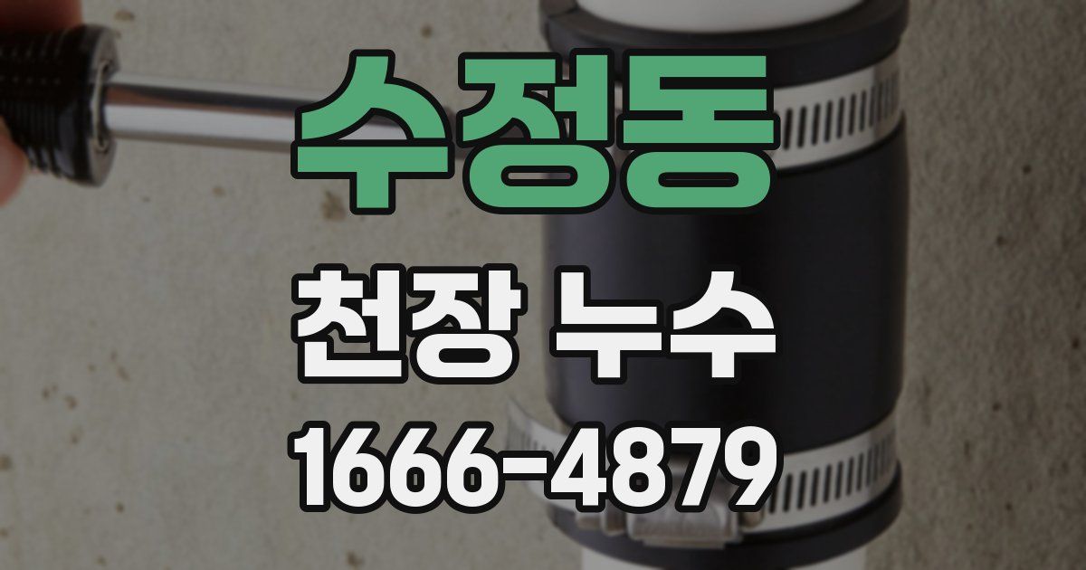 수정동 천장 누수