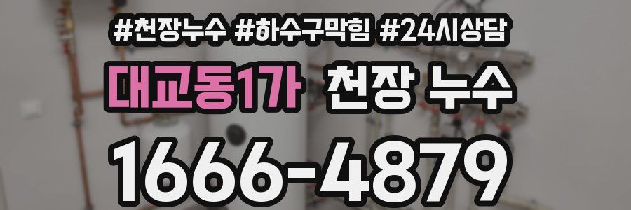 대교동1가 천장 누수