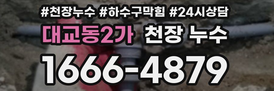 대교동2가 천장 누수