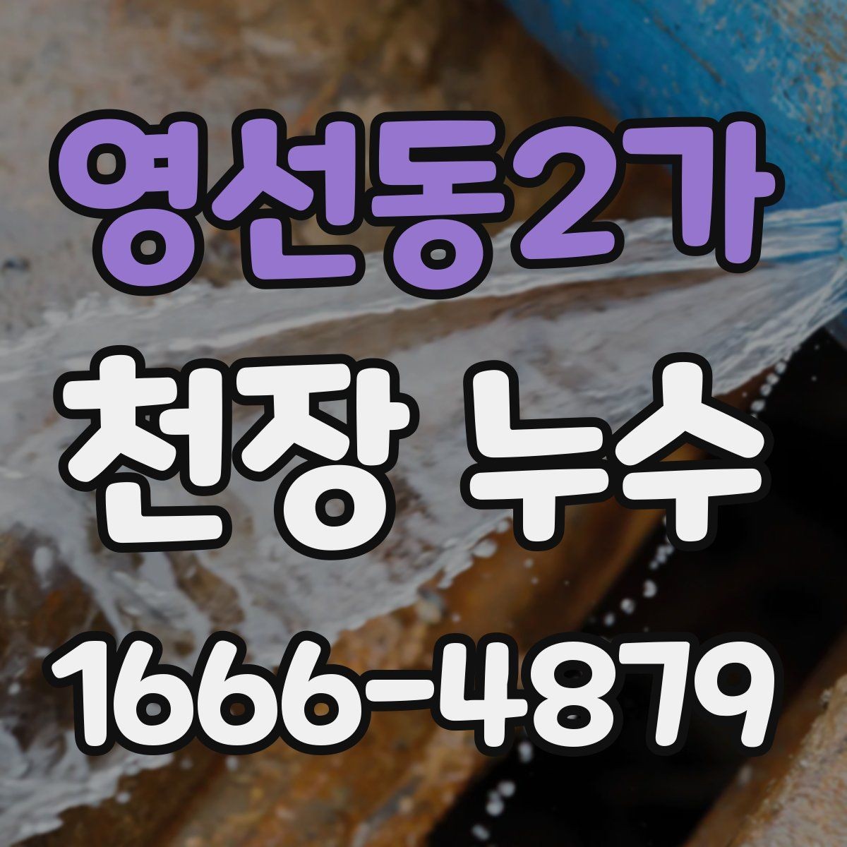 영선동2가 천장 누수 벽지까지 들뜨기 시작했다면