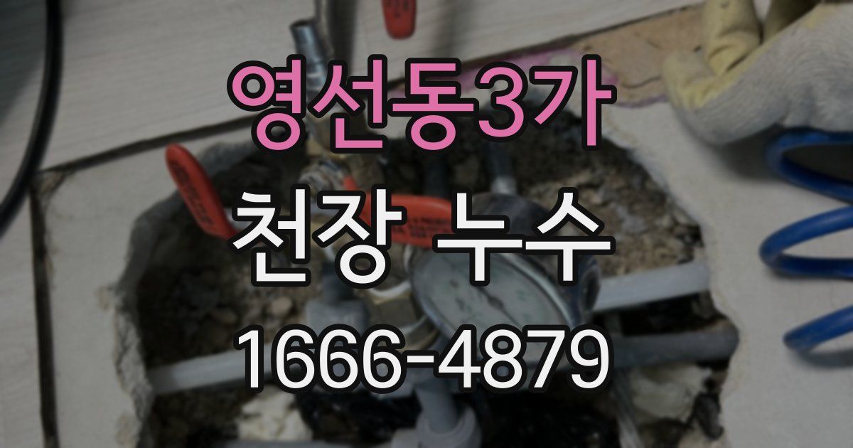 영선동3가 천장 누수