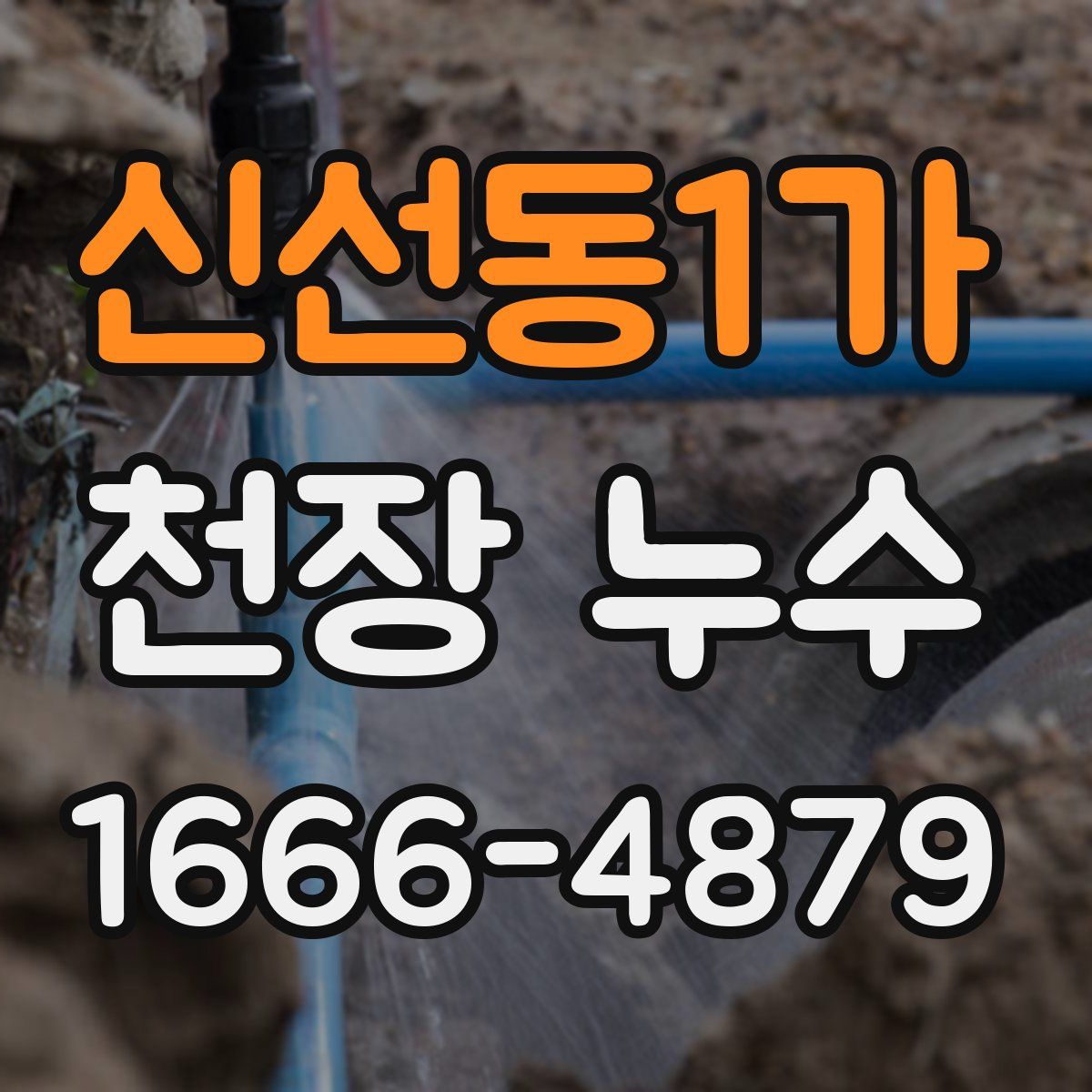 신선동1가 천장 누수