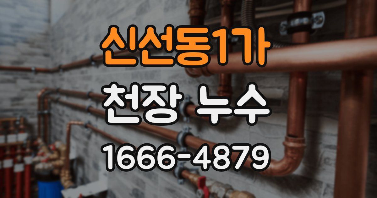 신선동1가 천장 누수