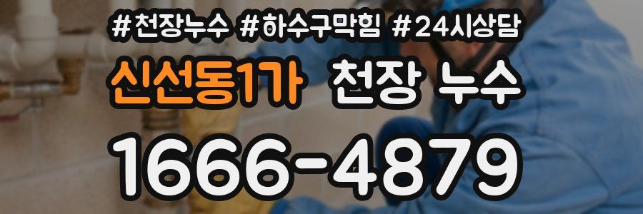 신선동1가 천장 누수