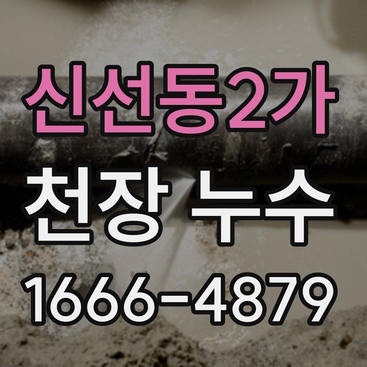 신선동2가 천장 누수 환기해도 계속 젖는 천장, 원인 점검