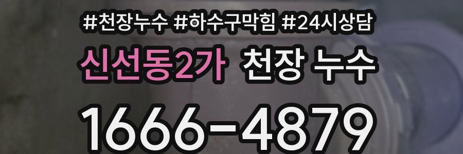 신선동2가 천장 누수