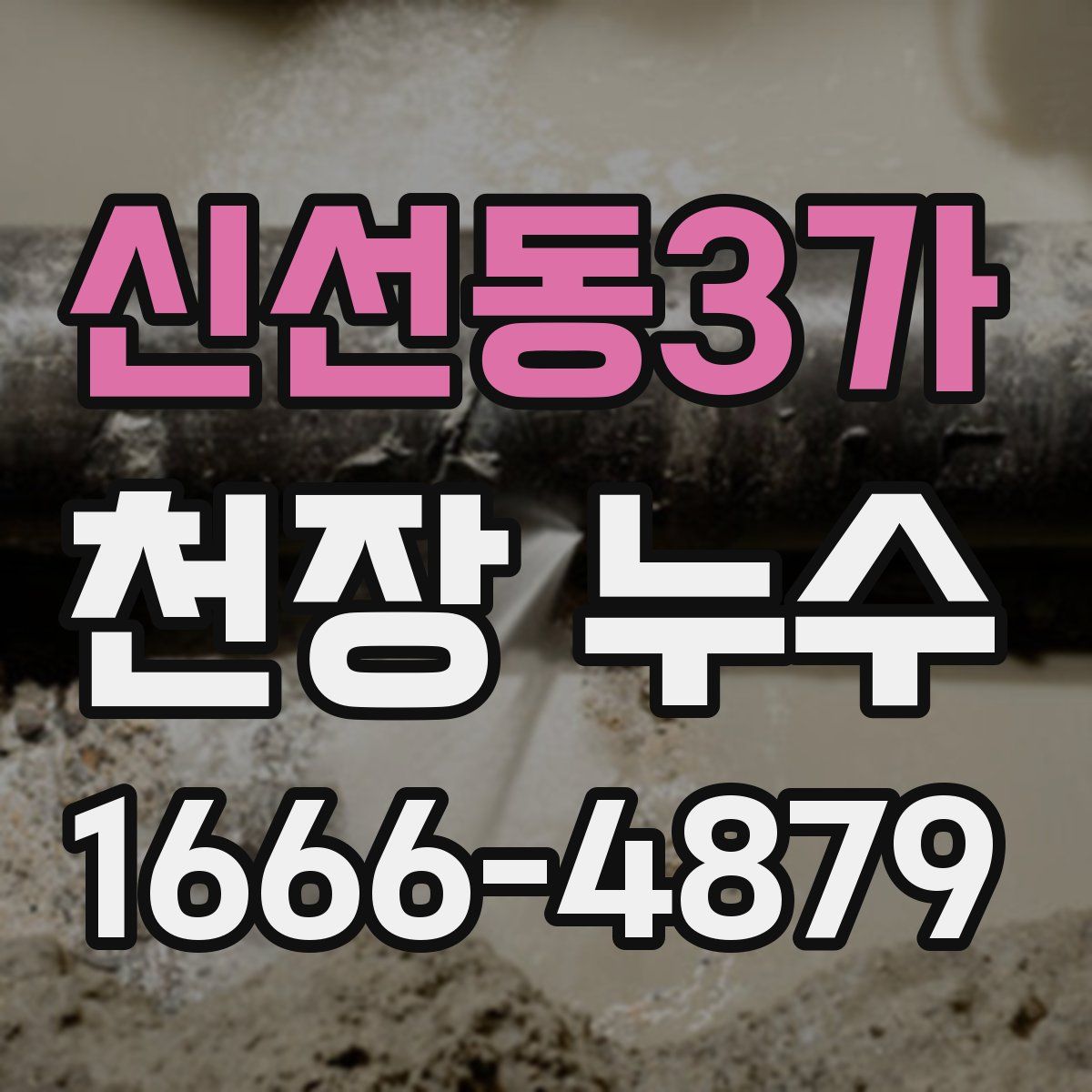 신선동3가 천장 누수