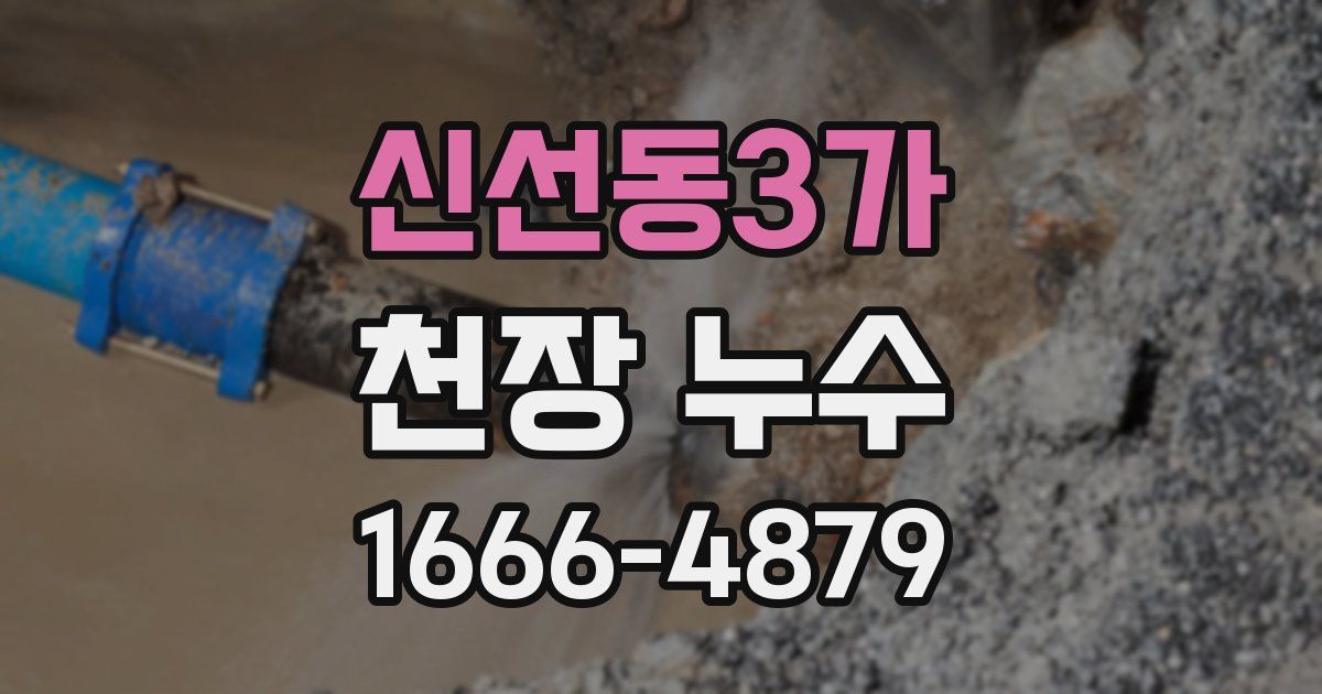 신선동3가 천장 누수