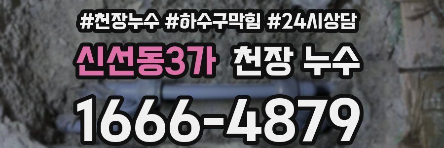 신선동3가 천장 누수
