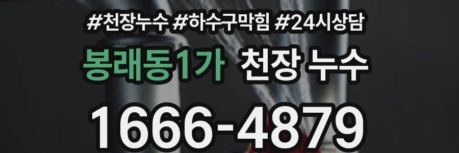 봉래동1가 천장 누수