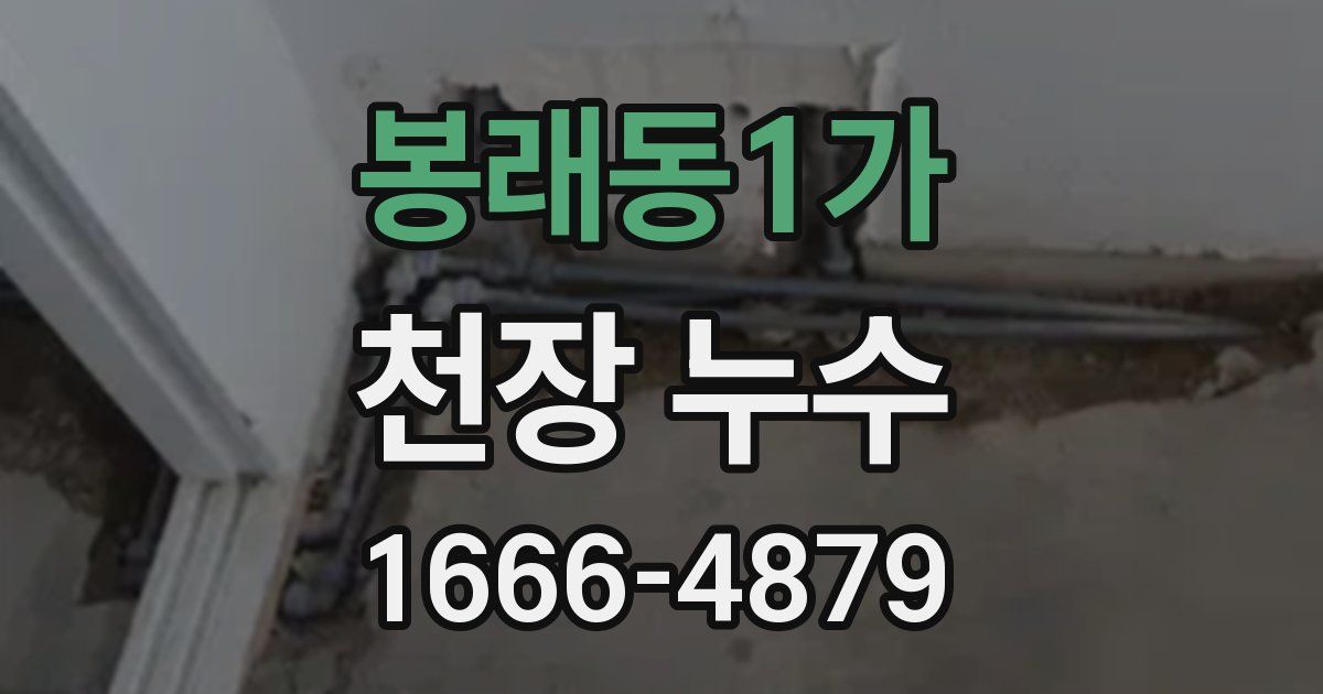봉래동1가 천장 누수