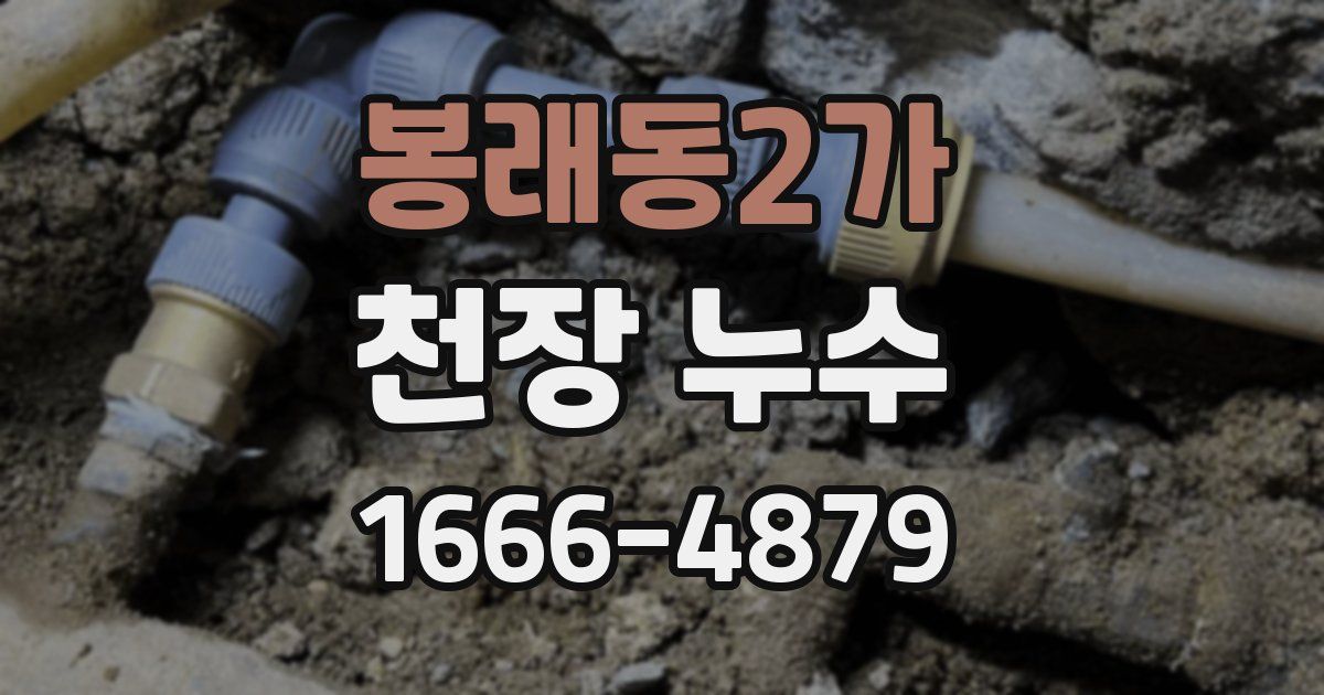 봉래동2가 천장 누수